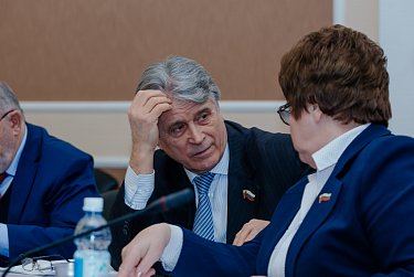 О Конституции РФ – на консультативном совете
